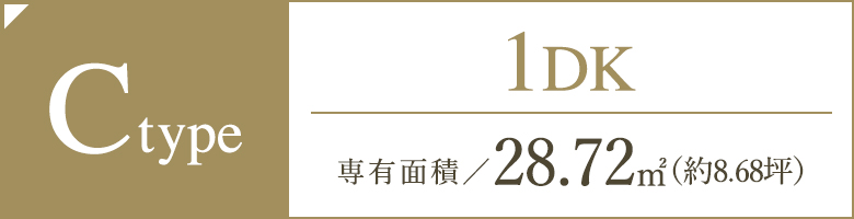 Ctype
