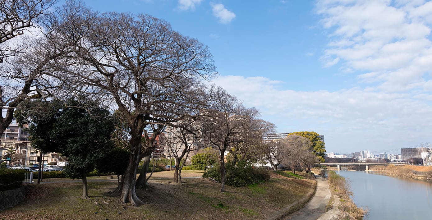 那珂川河川緑地 徒歩7分（約510m）