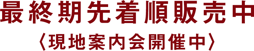 最終期先着順販売中