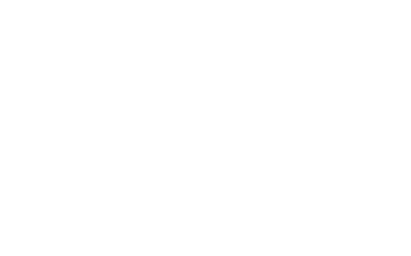 SALE OF ASSETS