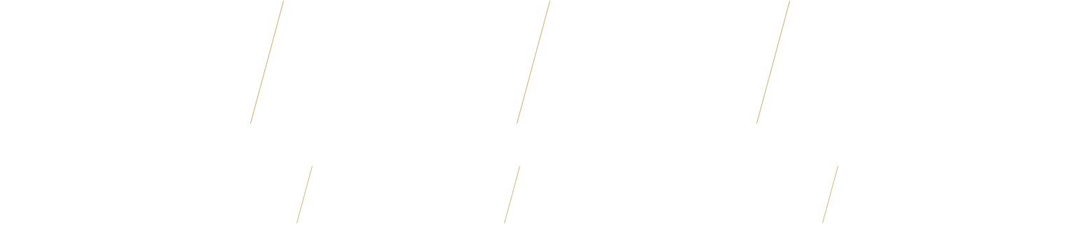 西鉄「花畑」駅 徒歩7min(約000m)/西鉄「久留米」駅 徒歩15min(約000m)/くるめりあ六ツ門 徒歩9min(約000m)/諏訪中学校区 徒歩14min(約000m)/2LDK〜4LDK 全住戸南向き 
10タイプの間取り・全75邸/特別な人に贈るプレミアム設計 ルーフバルコニー＋パティオ付き 最上階プレミアム住戸